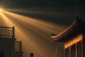 铁轨上的猫 黄昏铁轨旁蜷着的橘猫